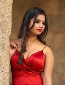 call girl service in Sankarankoil